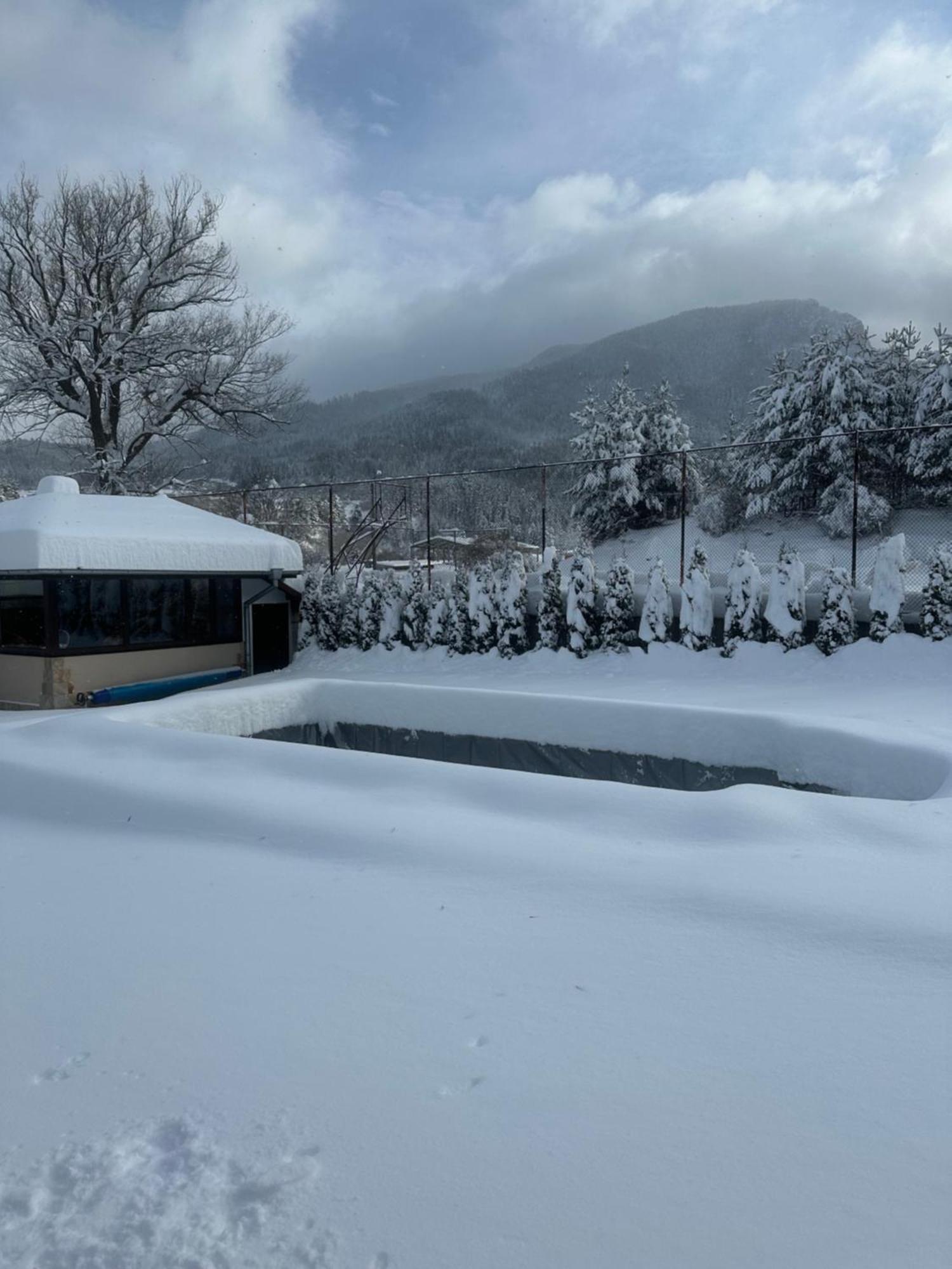 Villa Paradise Beli Iskar Exterior photo